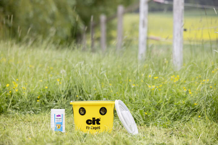 cit Fliegenfalle FlyCage inklusive Lockstoff